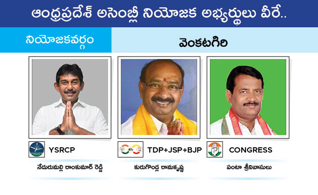 AP_20MLA_20GALLERY_01116.jpg 113