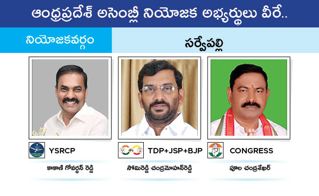 AP_20MLA_20GALLERY_01117.jpg 114