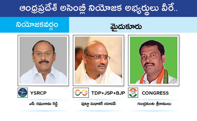 AP_20MLA_20GALLERY_01126.jpg 123