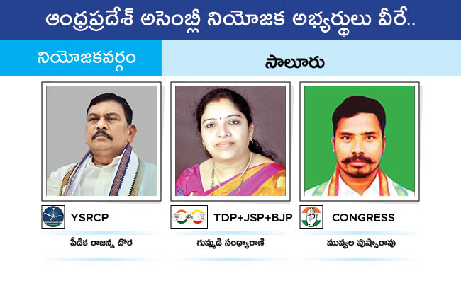 AP_20MLA_20GALLERY_0113.jpg 13