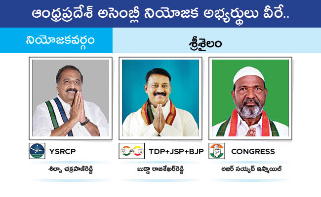 AP_20MLA_20GALLERY_01137.jpg 137