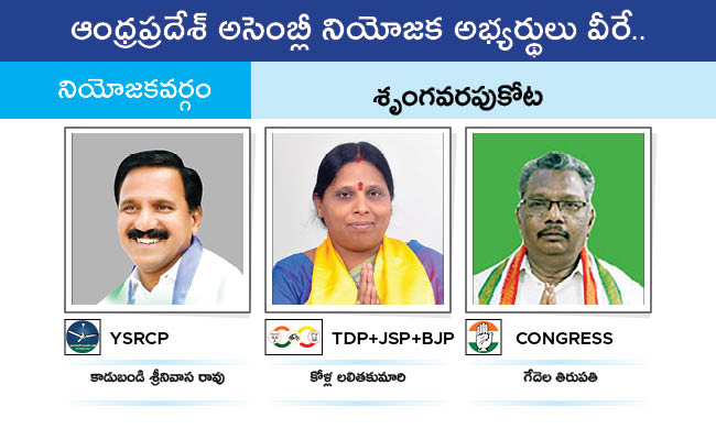 AP_20MLA_20GALLERY_0115.jpg 15