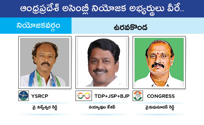 AP_20MLA_20GALLERY_01151.jpg 151