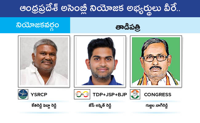 AP_20MLA_20GALLERY_01154.jpg 154