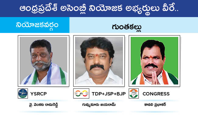 AP_20MLA_20GALLERY_01155.jpg 155