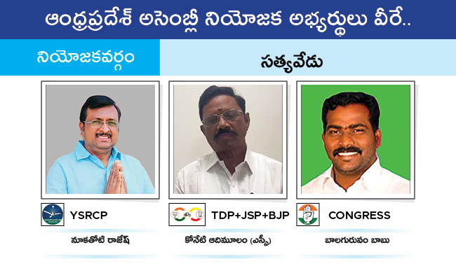 AP_20MLA_20GALLERY_01162.jpg 162