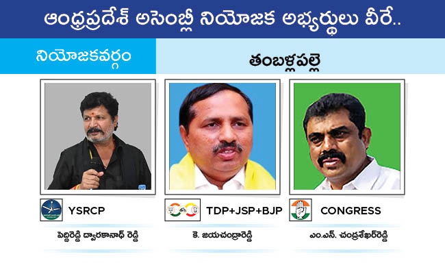 AP_20MLA_20GALLERY_01174.jpg 174