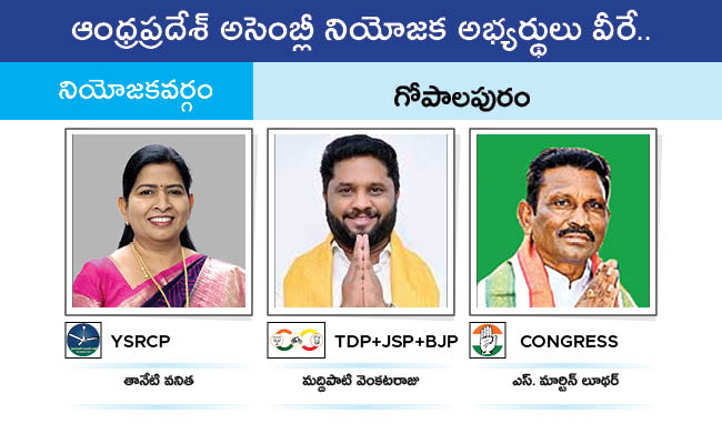 AP_20MLA_20GALLERY_0154.jpg 51