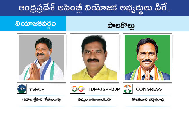 AP_20MLA_20GALLERY_0159.jpg 56