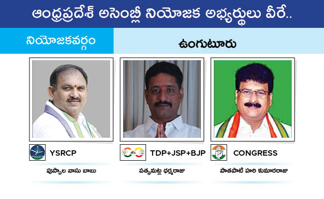 AP_20MLA_20GALLERY_0162.jpg 59