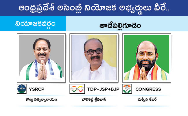 AP_20MLA_20GALLERY_0163.jpg 60