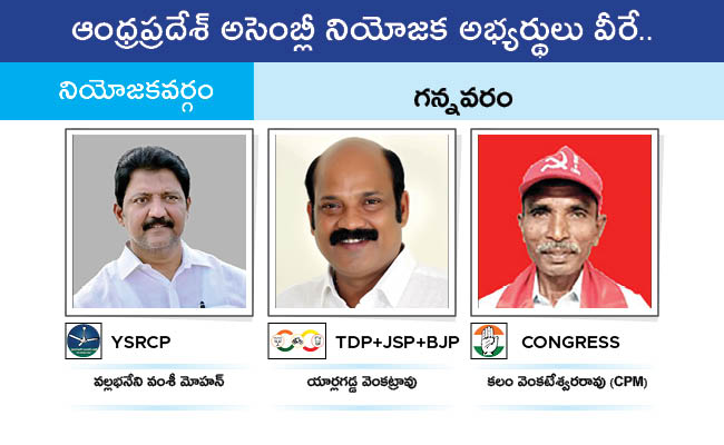 AP_20MLA_20GALLERY_0175.jpg 72