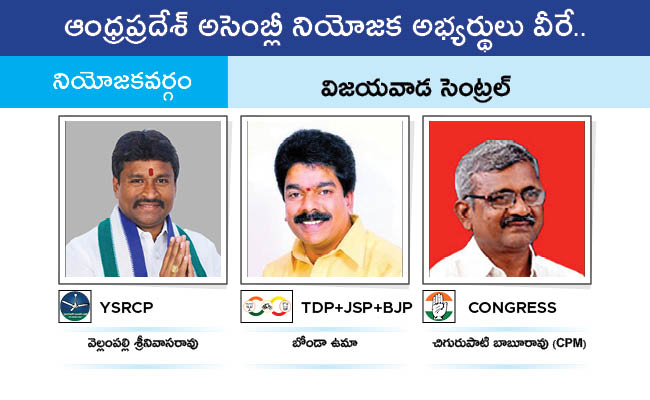 AP_20MLA_20GALLERY_0183.jpg 80
