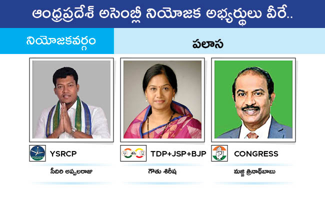 AP_20MLA_20GALLERY_019.jpg 9