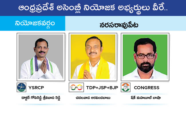 AP_20MLA_20GALLERY_0196.jpg 93