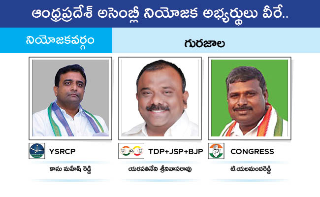 AP_20MLA_20GALLERY_0198.jpg 95