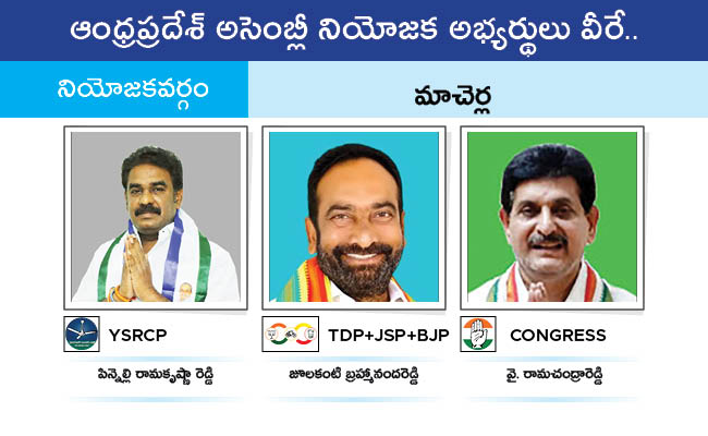 AP_20MLA_20GALLERY_0199.jpg 96