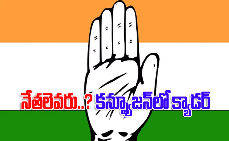 congress13.jpg