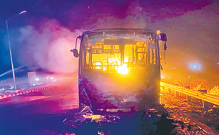 bus_1.jpg