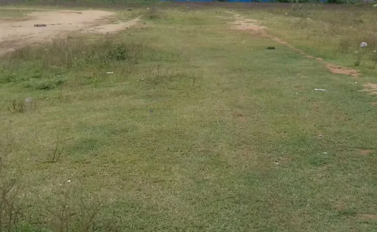 land.jpg