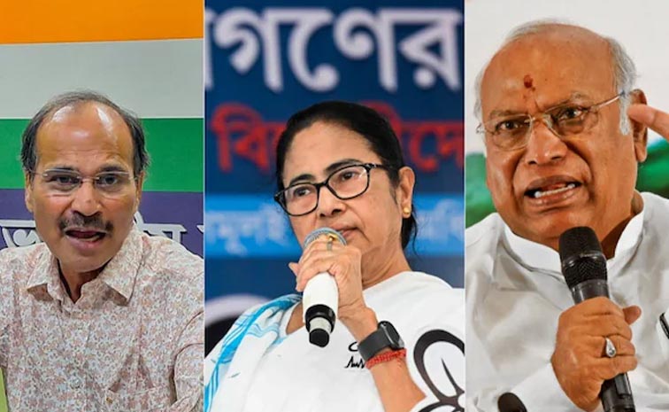 mamata_1.jpg
