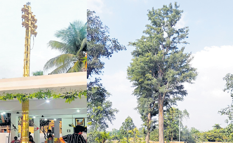 tree.jpg
