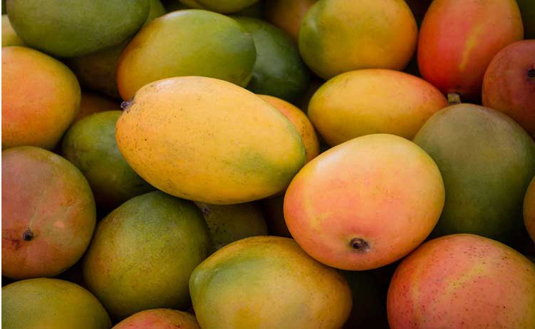mango_0.jpg