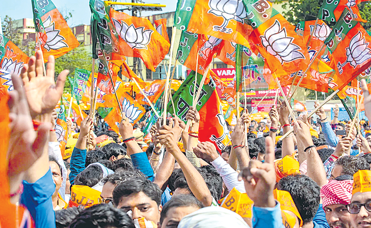 BJP-FALAGS-2.jpg