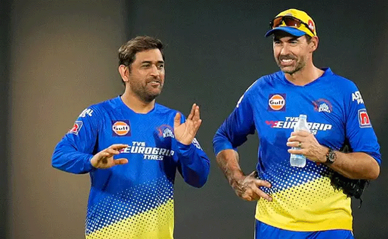 msd.gif