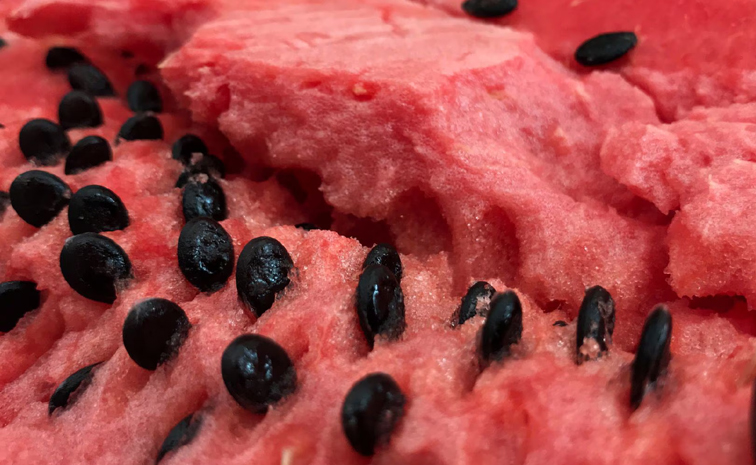 watermelonseeds.jpg