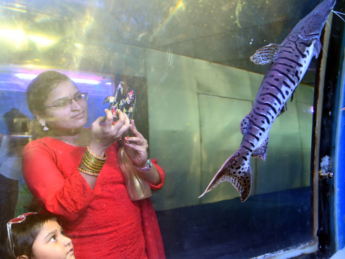Mermaids-12.jpg 12
