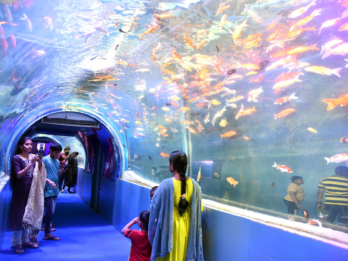 Mermaids-13.jpg 13