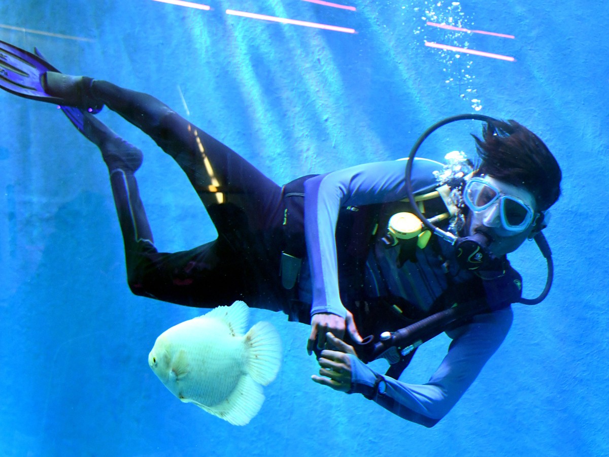 Mermaids-14.jpg 14