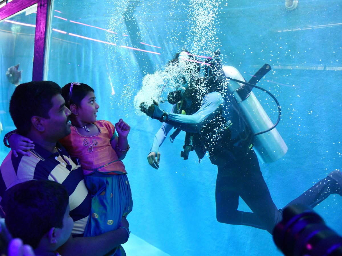 Mermaids-15.jpg 15