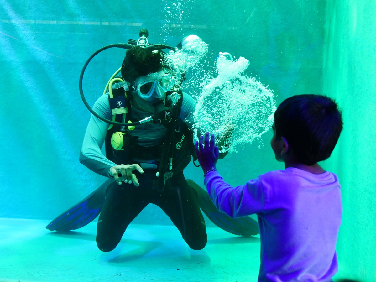 Mermaids-18.jpg 18
