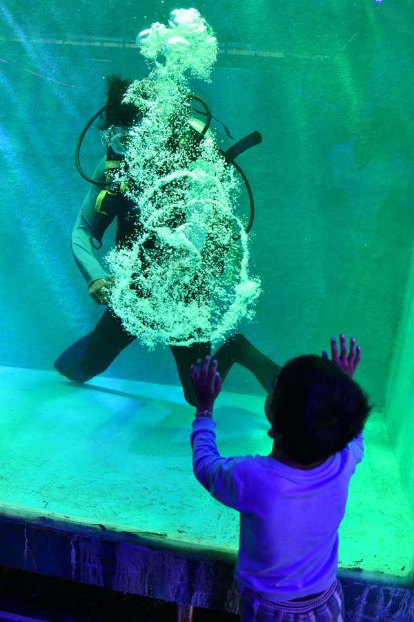 Mermaids-19.jpg 19