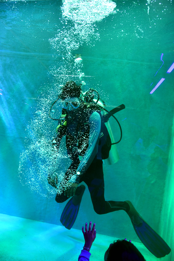 Mermaids-20.jpg 20
