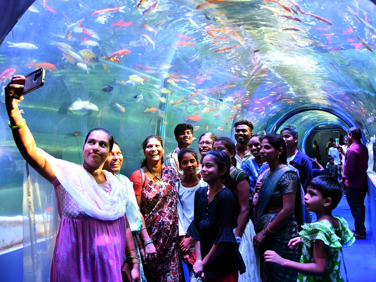 Mermaids-23.jpg 23