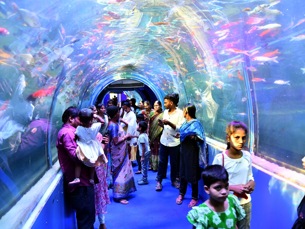 Mermaids-24.jpg 24