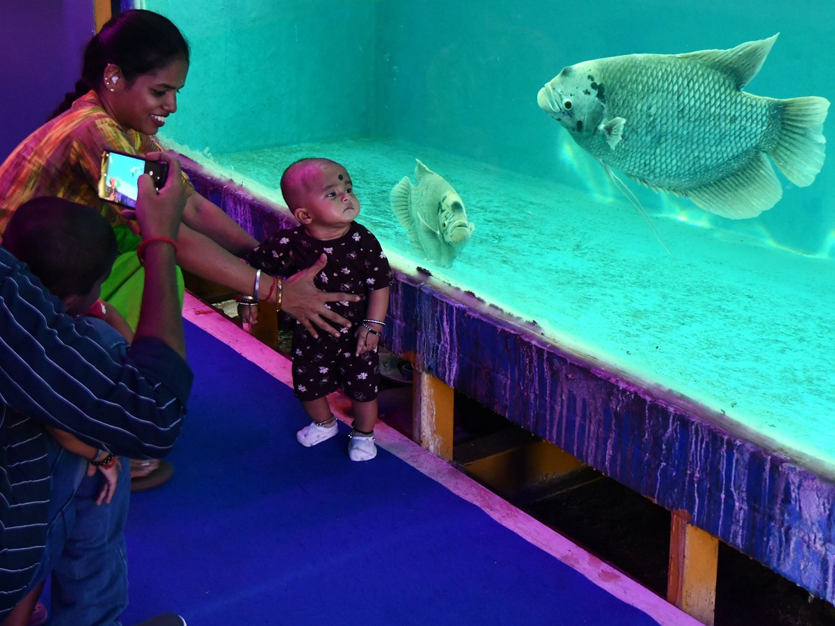 Mermaids-28.jpg 28