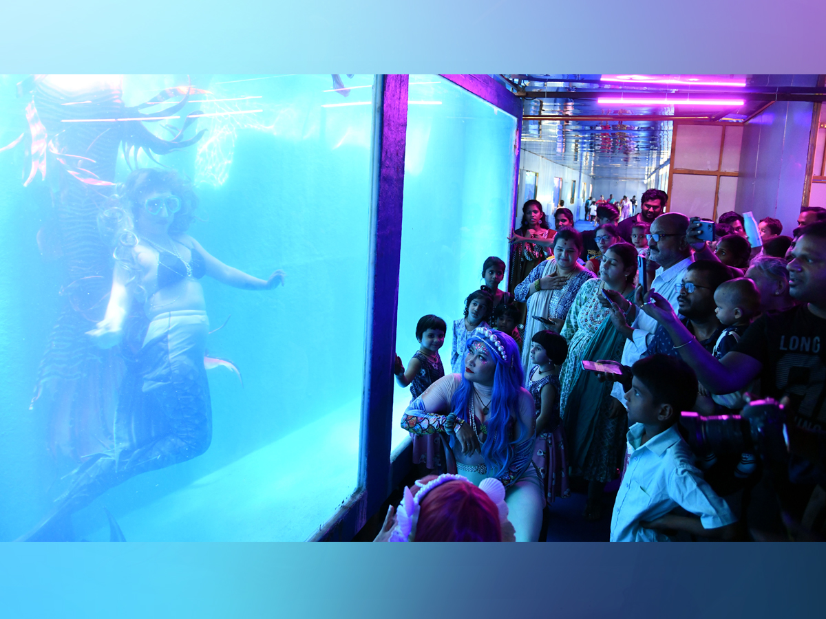 Mermaids-3.jpg 3