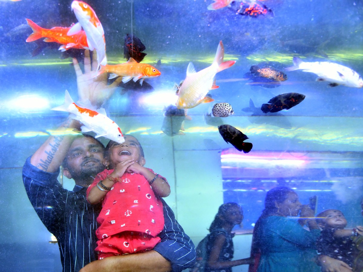 Mermaids-30.jpg 30