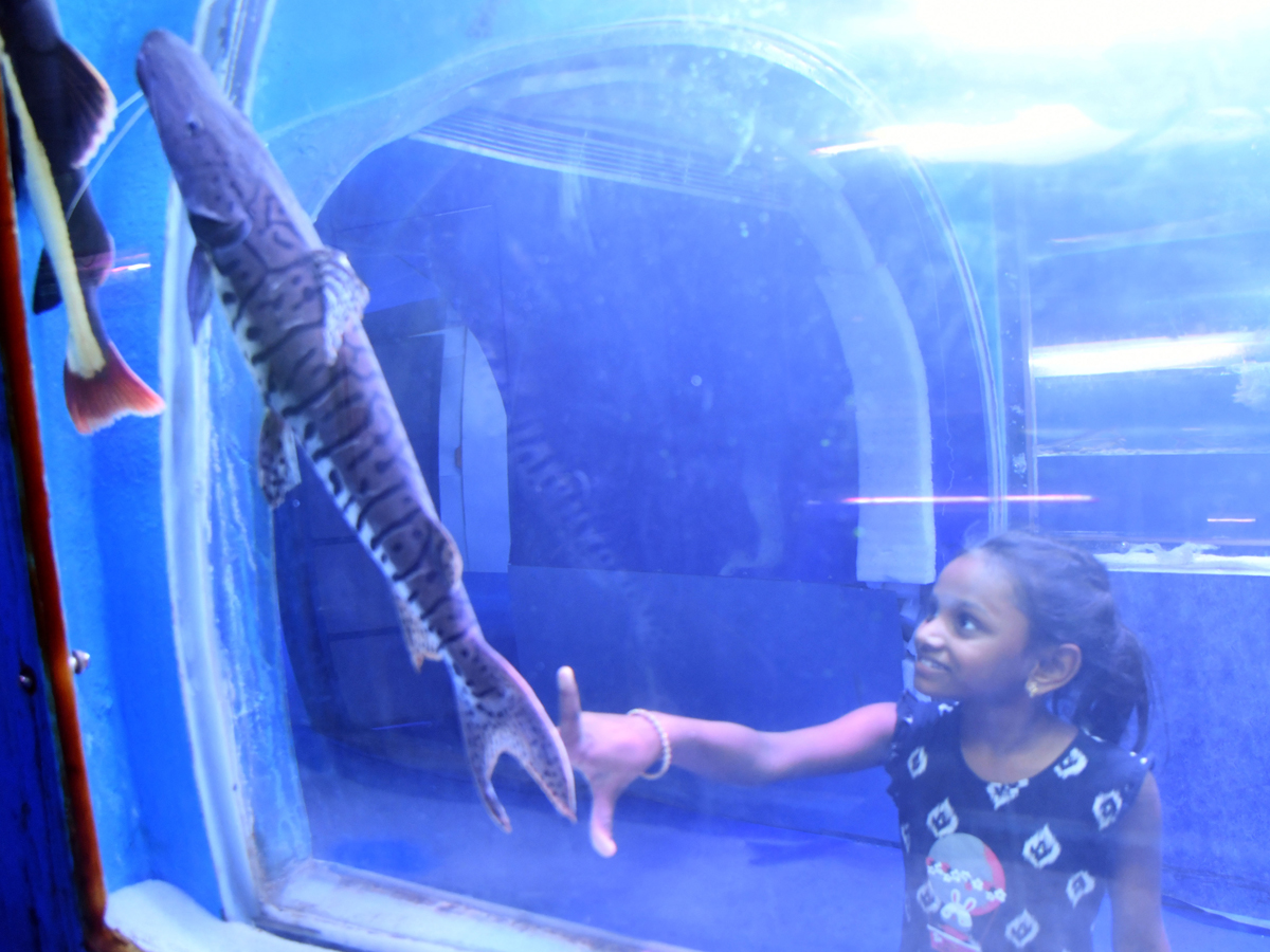 Mermaids-31.jpg 31