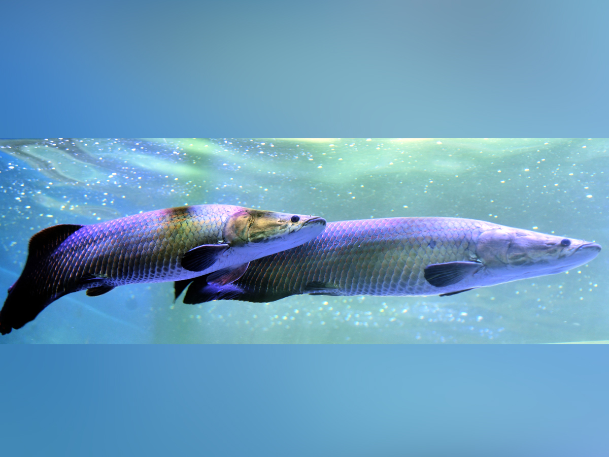 Mermaids-38.jpg 38