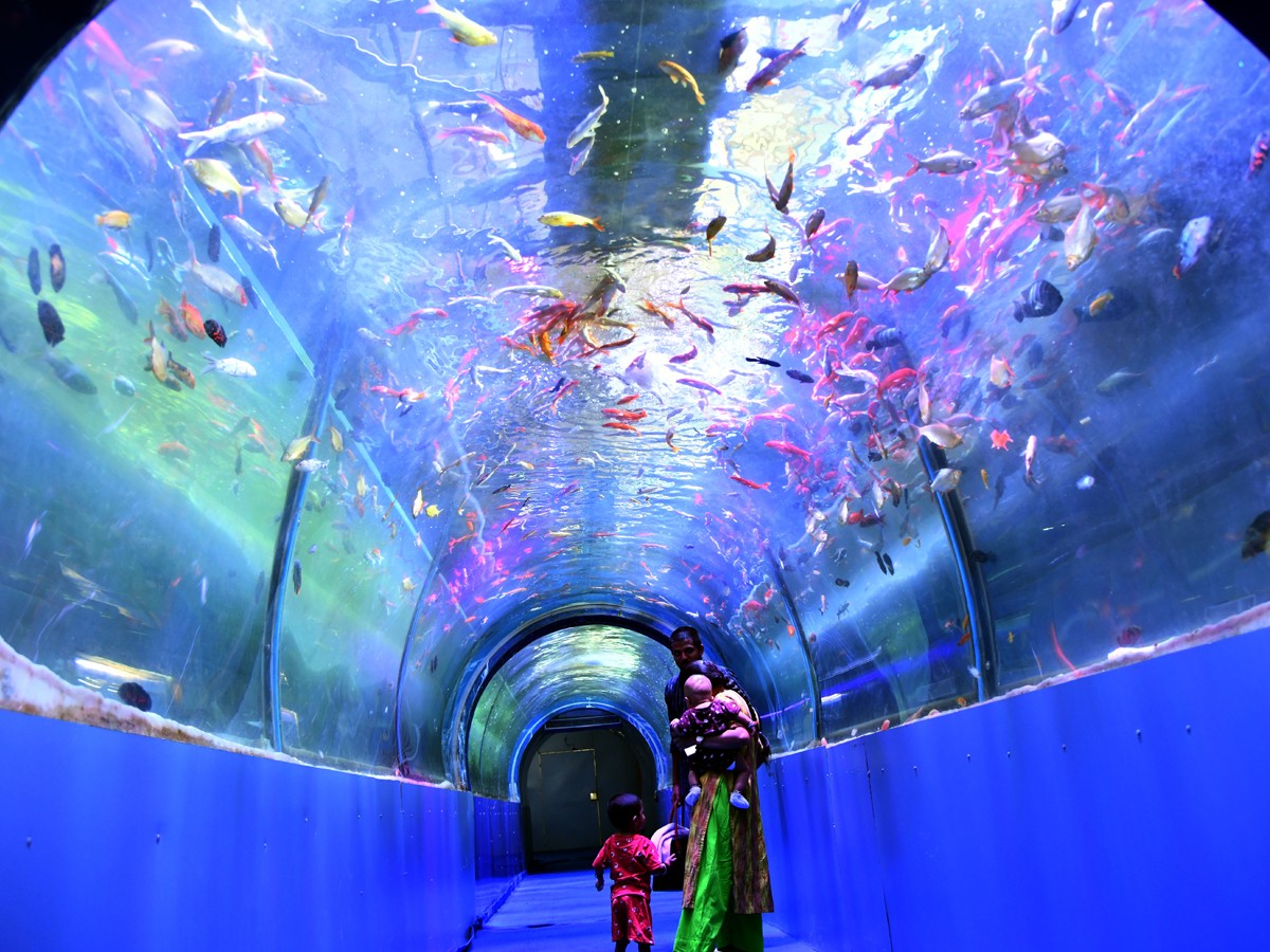 Mermaids-43.jpg 43