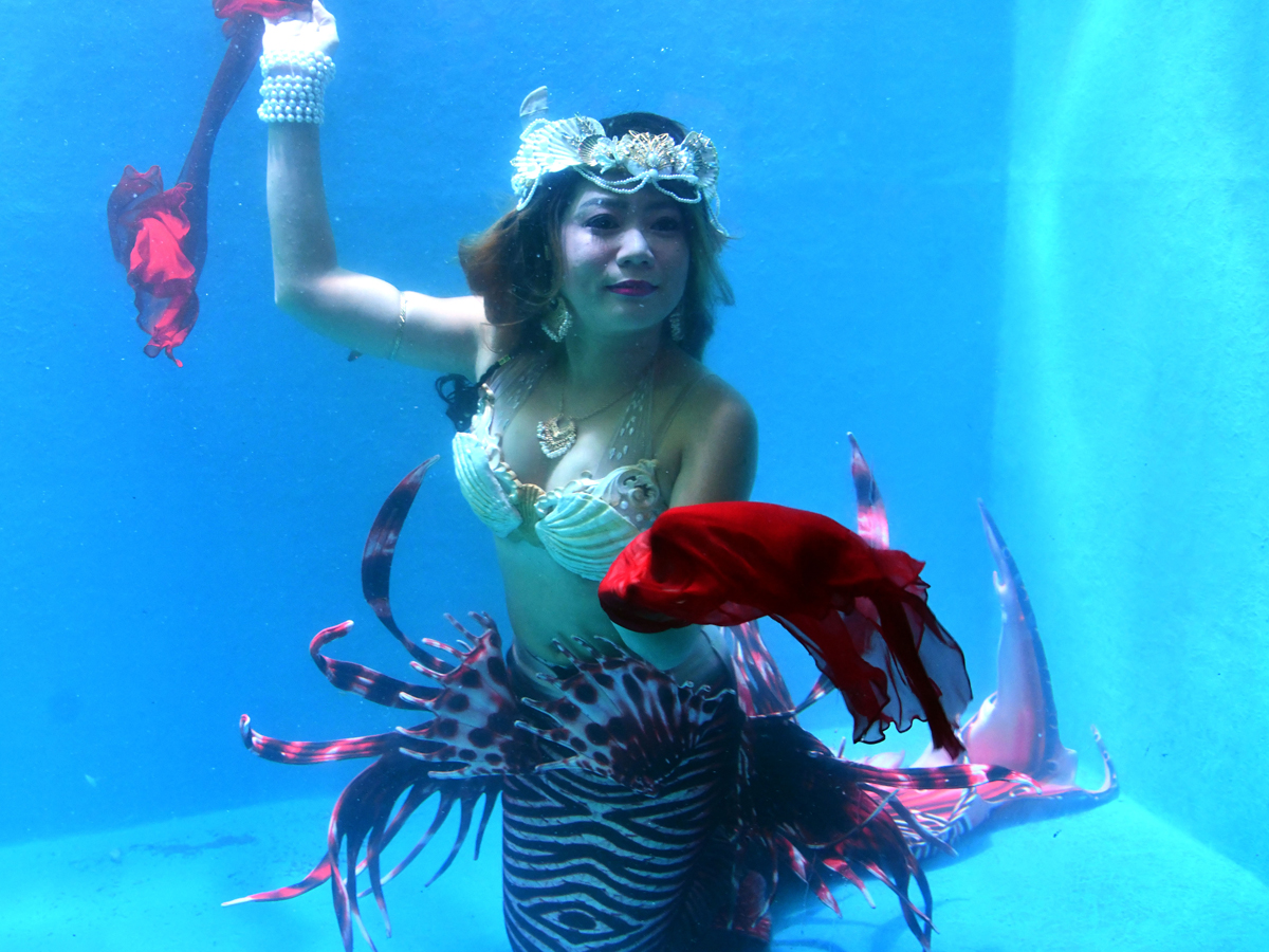 Mermaids-6.jpg 6
