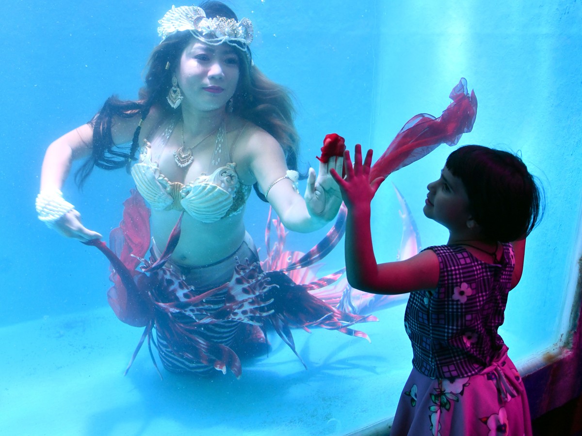 Mermaids-8.jpg 8