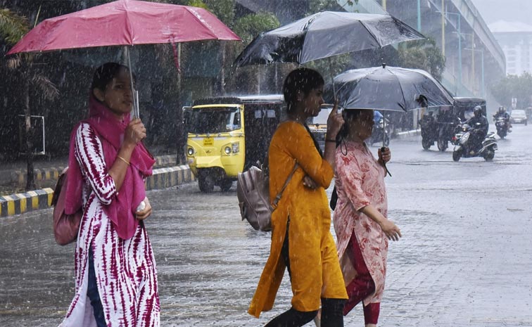 TN-Rains.jpg