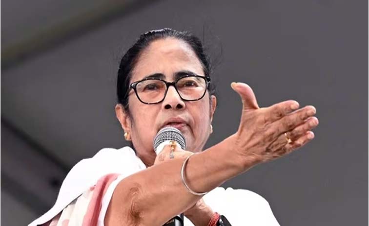 mamata_0.jpg