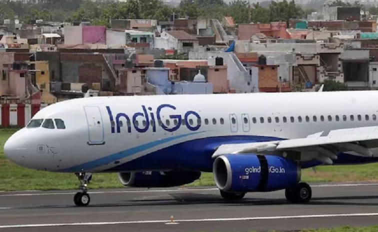 indigo.jpg